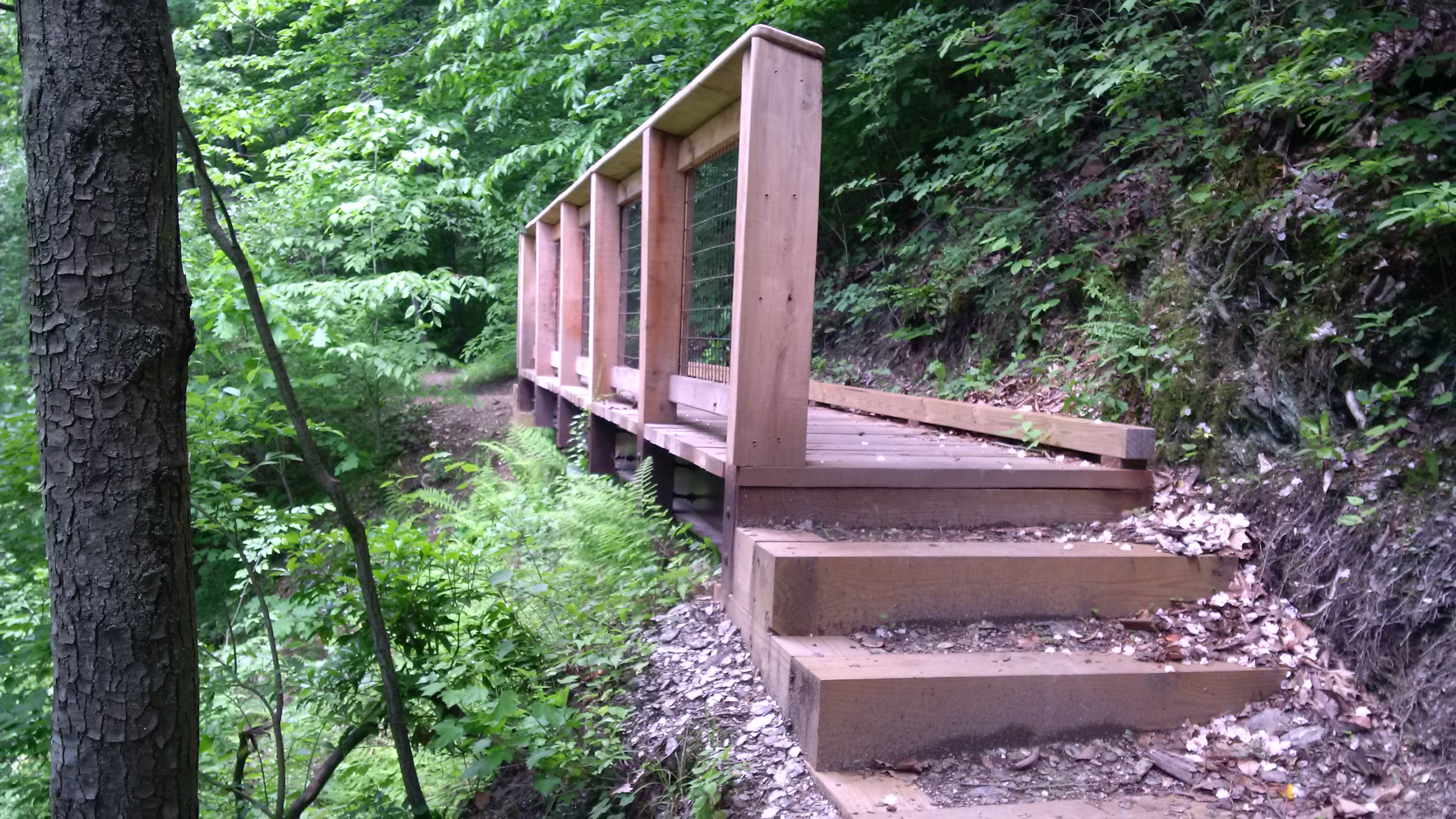 Paradise Farm Camp Catwalk Downingtown, PA | Penn Trails