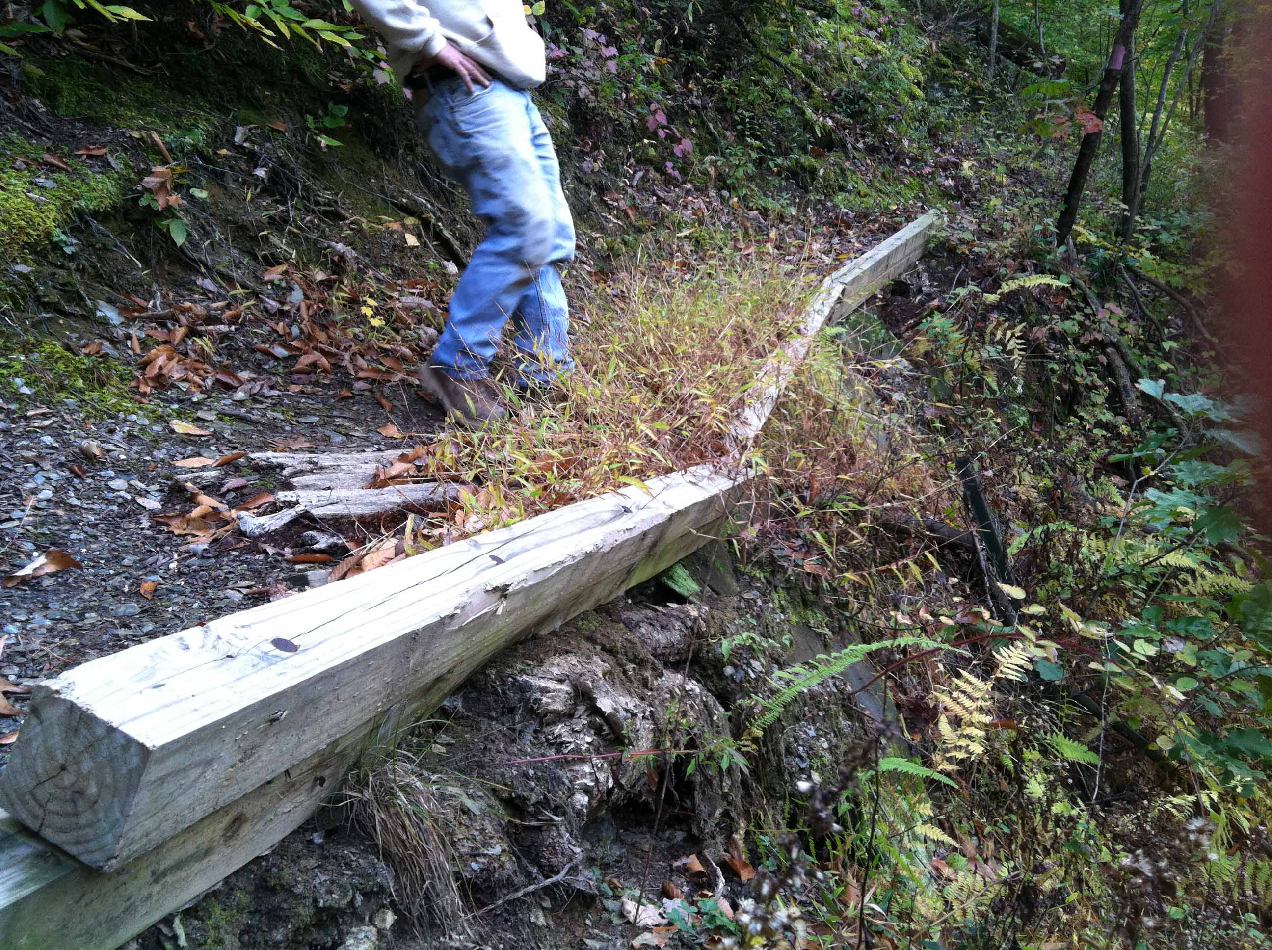 Paradise Farm Camp Catwalk Downingtown, PA | Penn Trails